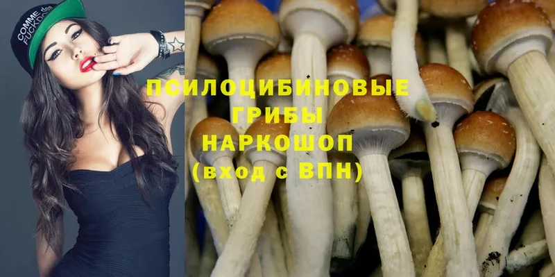 Галлюциногенные грибы Magic Shrooms Арск